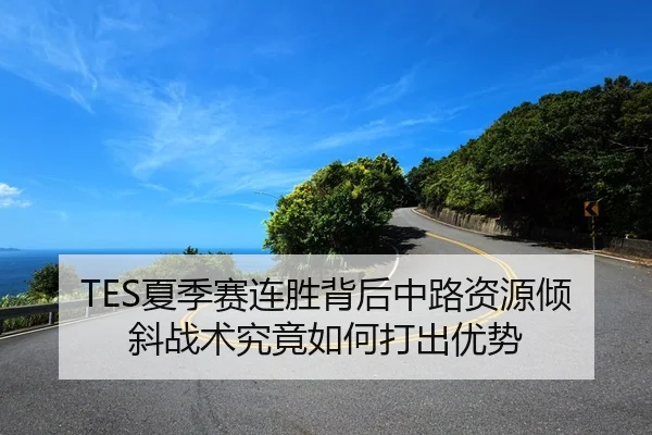 TES夏季赛连胜背后中路资源倾斜战术究竟如何打出优势